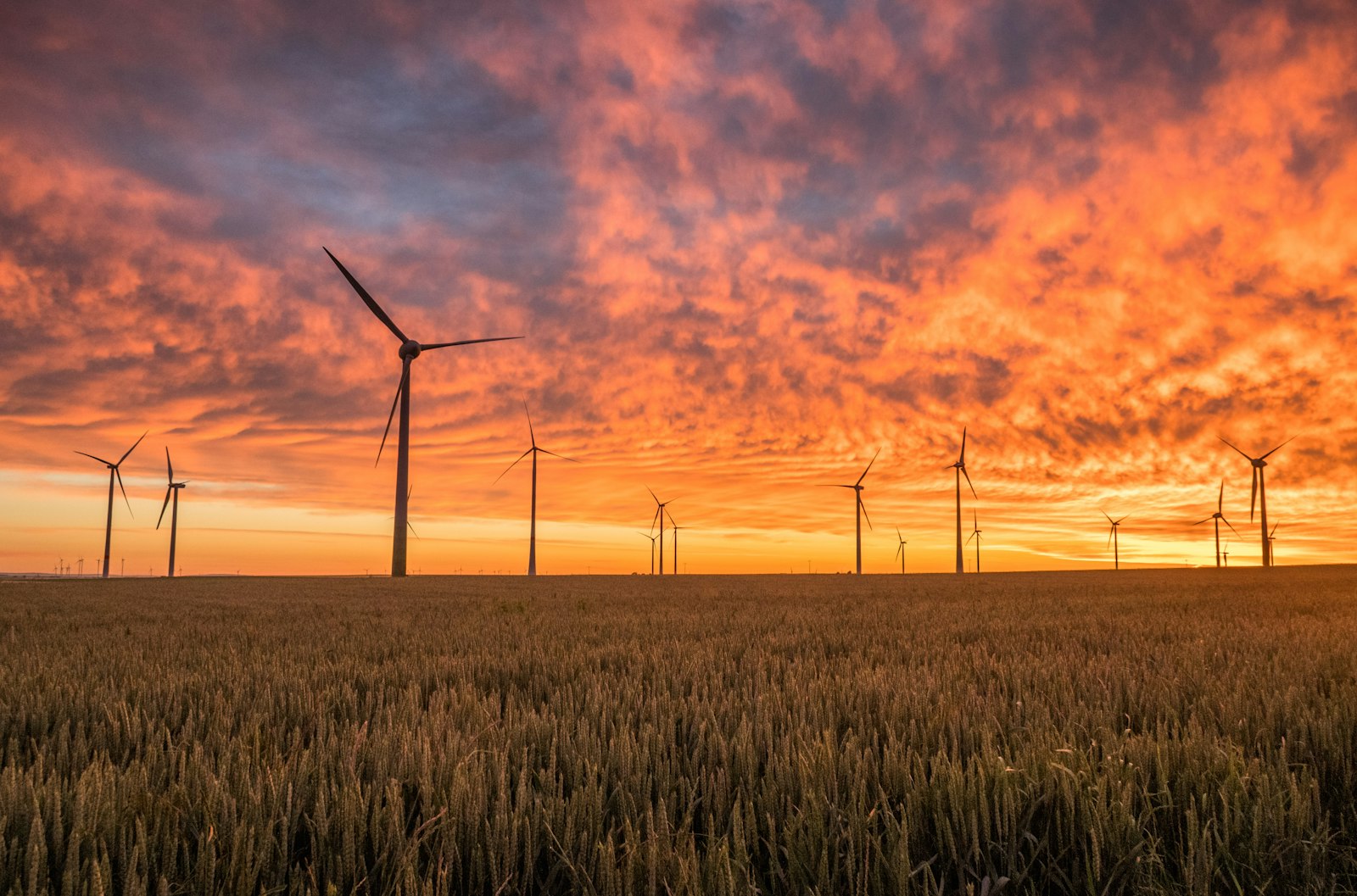 Parque eólico al atardecer con una línea de aerogeneradores en el horizonte